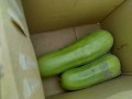IMG_20260621_180033