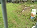 IMG_20260622_084445