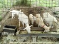 IMG_20260622_084646