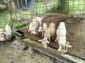 IMG_20260622_084652