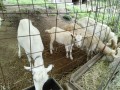 IMG_20260622_084711