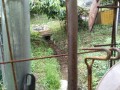 IMG_20260622_084718