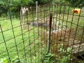 IMG_20260622_084801