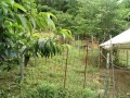 IMG_20260622_084814