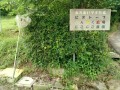 IMG_20260623_090026