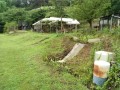 IMG_20260623_090214