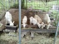 IMG_20260623_091716