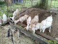 IMG_20260623_091722