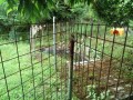 IMG_20260623_091808