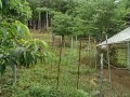 IMG_20260623_091822