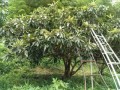 IMG_20260623_112935