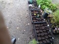 IMG_20260624_092406