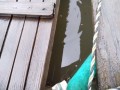 IMG_20260624_153123