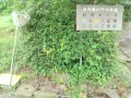 IMG_20260624_153136