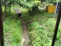 IMG_20260624_153625