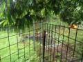 IMG_20260624_153708