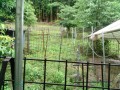 IMG_20260624_153722