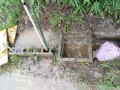 IMG_20260625_114119