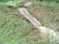IMG_20260625_115706