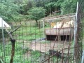 IMG_20260625_115742