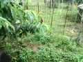 IMG_20260625_120002