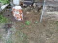 IMG_20260625_120202