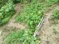 IMG_20260625_122136