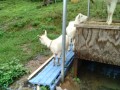 IMG_20260625_122153