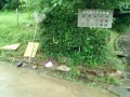 IMG_20260626_082711