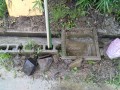 IMG_20260626_082718