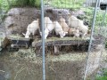 IMG_20260626_083254