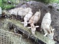 IMG_20260626_083303