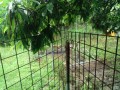 IMG_20260626_083419