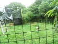 IMG_20260626_083421