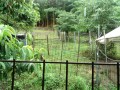 IMG_20260626_083435