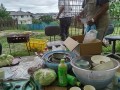 IMG_20260627_125359