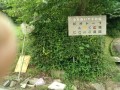 IMG_20260628_094944