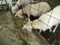 IMG_20260628_100347