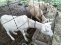 IMG_20260628_100355