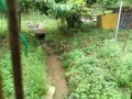 IMG_20260628_100400