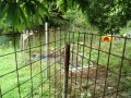 IMG_20260628_100428