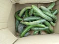IMG_20260628_114858