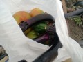 IMG_20260628_114922