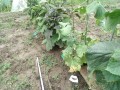 IMG_20260628_114928