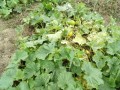 IMG_20260628_114945