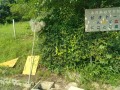 IMG_20260629_090135