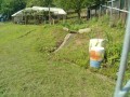 IMG_20260629_090205