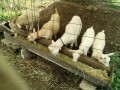 IMG_20260629_090332