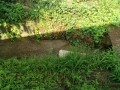 IMG_20260629_090355