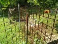 IMG_20260629_090414